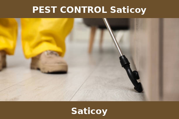 PEST CONTROL Saticoy